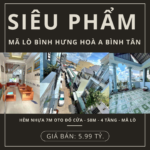 Sở hữu ngôi nhà đẳng cấp tại Bình Tân – Giảm giá 310 triệu, chỉ còn 5.99 tỷ!