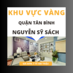 Siêu phẩm nhà tại Nguyễn Sỹ Sách – Đầu tư sinh lời cao